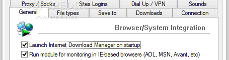 Showing the Internet Download Manager program configuration panel